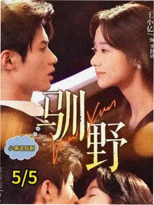 城市夜行录 都市悬疑剧更新在线观看